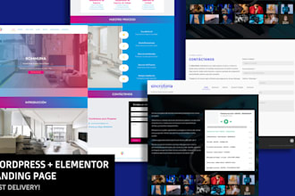 develop wordpress landing page with elementor fast delivery