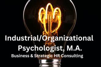 be your io industrial organizational psychology HR consultant