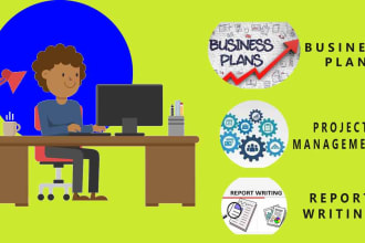 write top notch business plans and projects