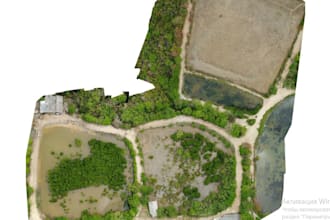 do orthophoto, dem, dtm, dsm, contours, from drone footage, point cloud, survey