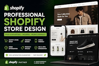 build a professional shopify dropshipping store