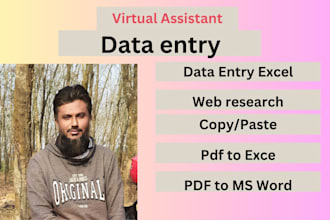 data entry and excel expert