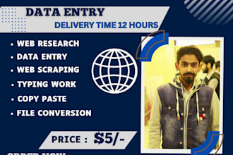 do data entry,web scarping,copy paste,web research,file conversion