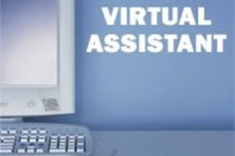 be your Virtual Assistant for 2 hrs