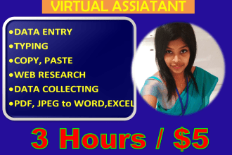 do data entry, copy paste, web research and data collecting