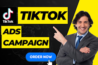 setup and optimize tiktok ads campaign, tik tok video ads