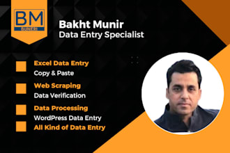 do proficient in excel data entry services