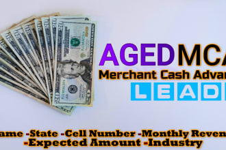 provide b2b leads, aged merchant cash advance leads