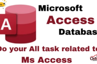 develop microsoft access database, assignments and projects