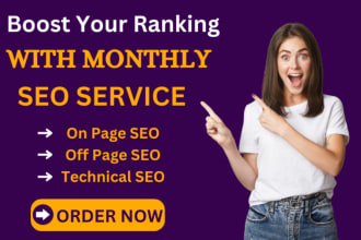 provide full white hat monthly SEO package with high authority link building