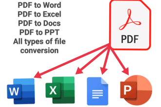 convert pdf to word, excel and docs, data entry