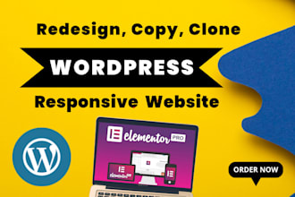 design, redesign, copy, clone or duplicate  wordpress website