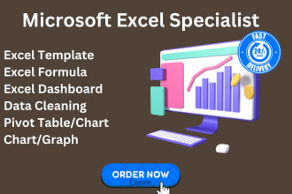 create excel dashboard, visualization, pivot table expert