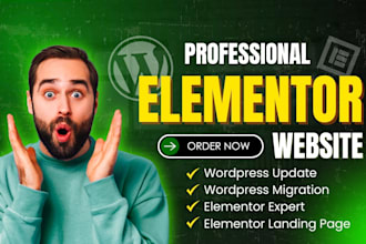 do elementor landing, wordpress update site or clone as a elementor expert
