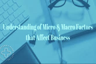 do macro and micro environment scan for your business