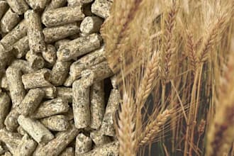 wheat bran pallets granular kazakhstan supplier factory verification