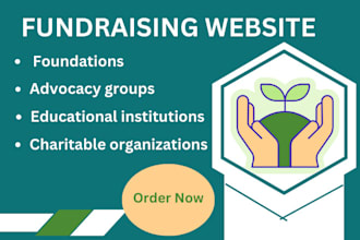 build a nonprofit, fundraising website that will drive positive action