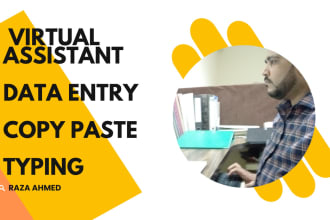 do accurate data entry, typing work, copy paste and form filling work