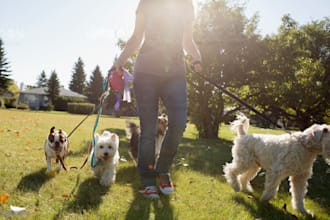 write a dog walking, pet sitting business plan for you