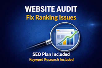 do website audit and SEO optimization plan