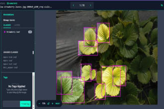 precisely annotate, tag, and label data using cvat