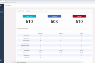 do custom credit repair software, credit repair website, software developer