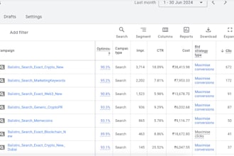 be your PPC expert google ads search display video etc
