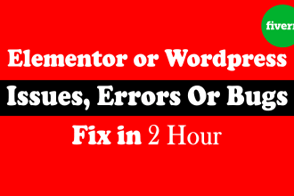 fix wordpress issues, elementor pro, divi bugs, fix website divi