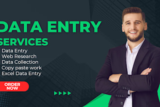 do data entry, typing work ms word, excel