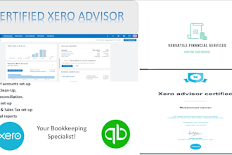 setup, clean up and reconcile your xero