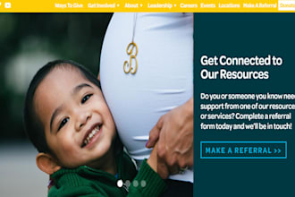 write non profit website contents and fundraising, charity website