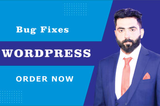 fix any wordpress, php issues or errors and customization