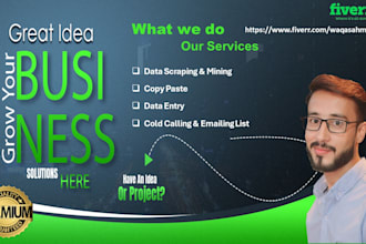 find the email, phone, address, websites excel data entry
