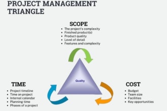create a professional gantt chart and project plan with microsoft project