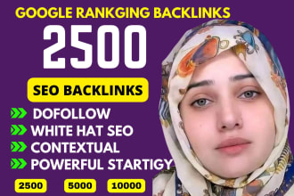 2500 contextual dofollow SEO backlinks high da authority link building service