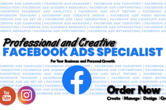 setup and create facebook ads campaign for dropshipping as expert fb ads manager