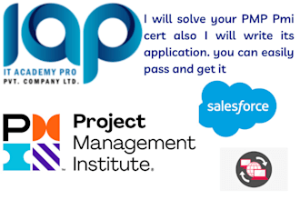 write pmi application for you till approval