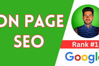 optimize website SEO service on wordpress, shopify, wix, squarespace, duda