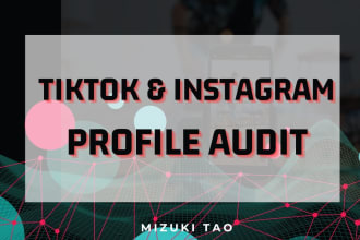 tiktok and instagram profile audit