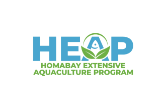 do modern innovative irrigation and fish development logo