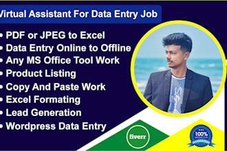 virtual assistant for a data entry job