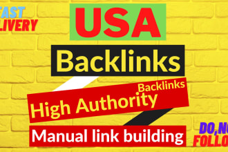 create professional manual USA backlink building service