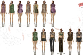 draw fashion collection or fashion illustration