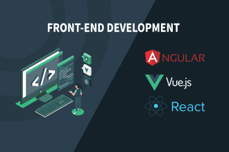 do professional frontend development using react angular vue