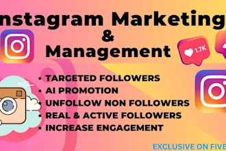do instagram promotion and marketing for organic instagram growth