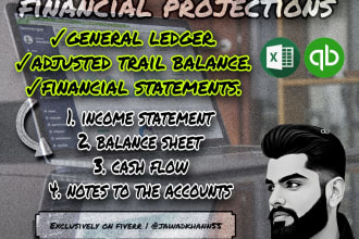 prepare financial statements, projections and accounting
