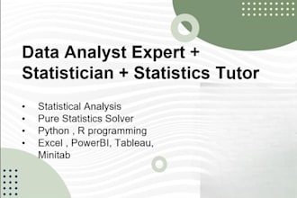do statistical data analysis, statistical tutoring