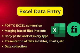 do accurate excel data entry, PDF to excel, data conversion, and copy paste job