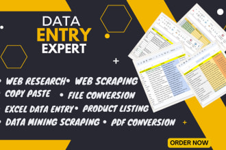 do data entry, web scraping, copy paste, excel data entry
