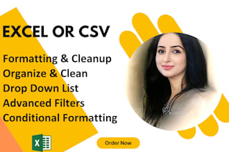 do data sorting, filter, formatting, clean and organize ms excel or CSV database